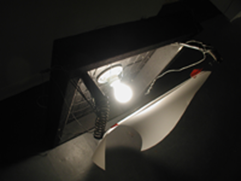 esto-no-tiene-nombre.jpg (105008 bytes)