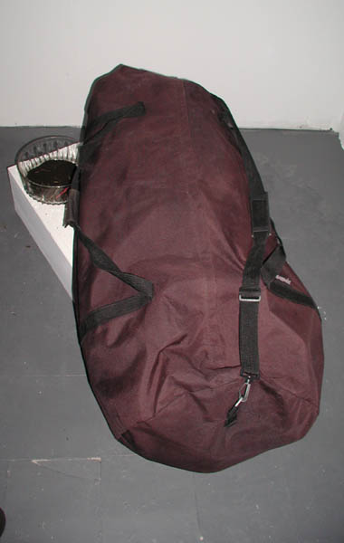 gusanos.JPG (23584 bytes)