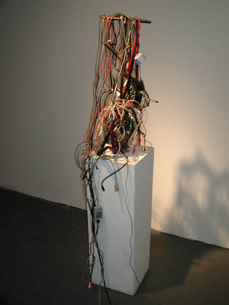 info-bouquet.JPG (29798 bytes)