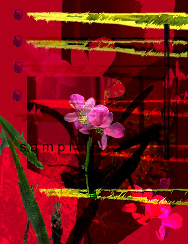 orchid-sample.jpg (125139 bytes)