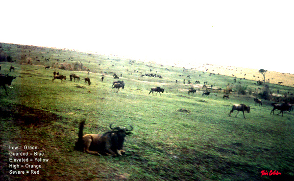 prey copy.jpg (262543 bytes)