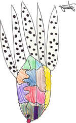 LM-T.jpg (7425 bytes)