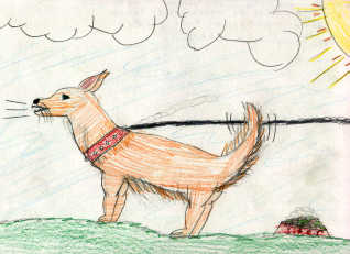 joey-silverma_3-KM-T.jpg (11670 bytes)